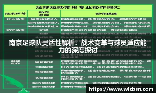 南京足球队灵活性解析：战术变革与球员适应能力的深度探讨